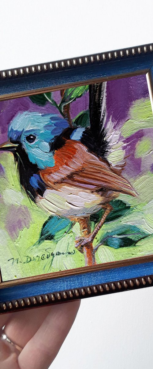 Fairy wren bird by Nataly Derevyanko