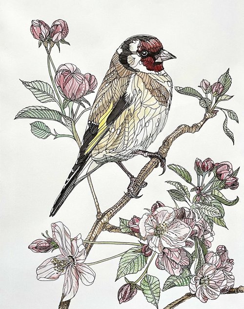 Goldfinch and Apple Blossom by Serena Phillips