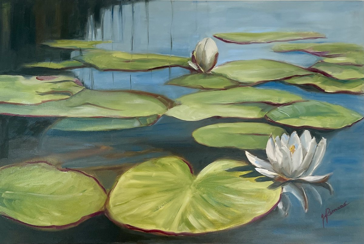 Water Lilies By Maria Romano, 24 X 16, Artwork For Sale On Artfinder