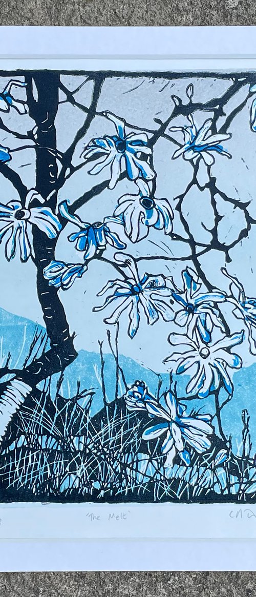 The Melt - Magnolia Blossom Contemporary Linocut Print by C Staunton