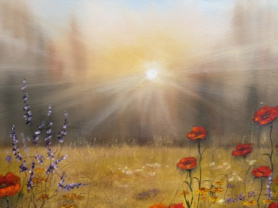 Morning Stillness
