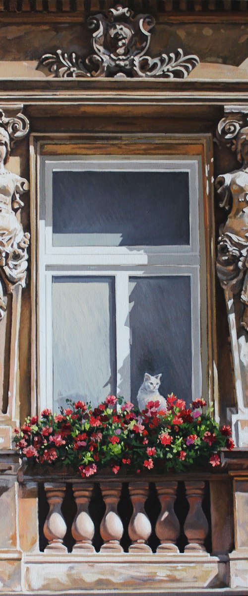 Cat in the window by Volodymyr Melnychuk