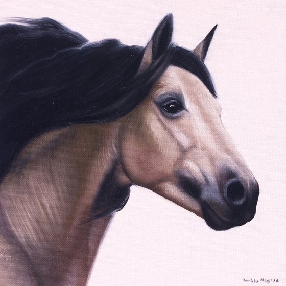 Horse Portrait 16