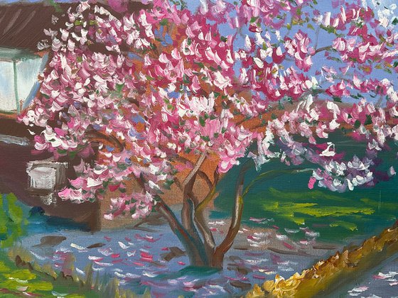 Blooming magnolia in Dalen