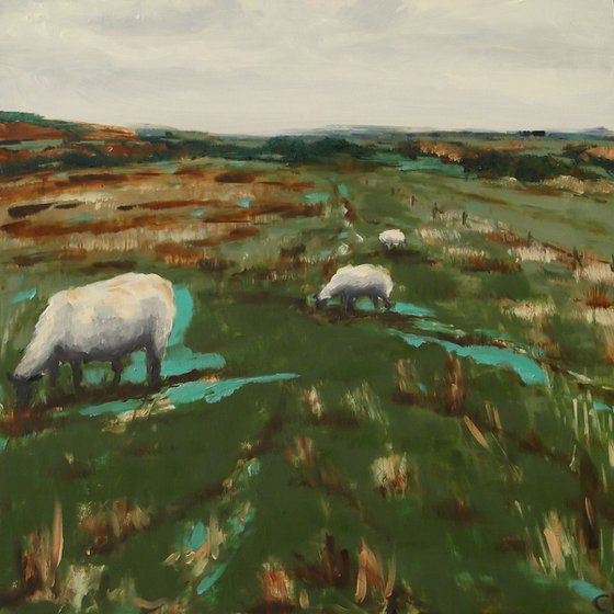 Grazing Sheep 1