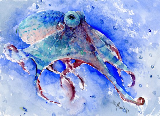 Octopus