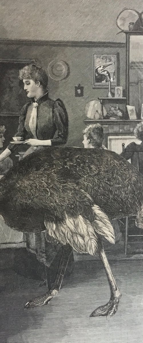 Tea with an Ostrich by Tudor Evans