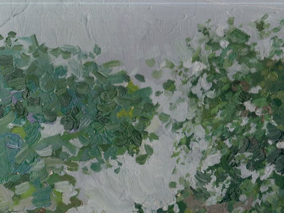 Bush