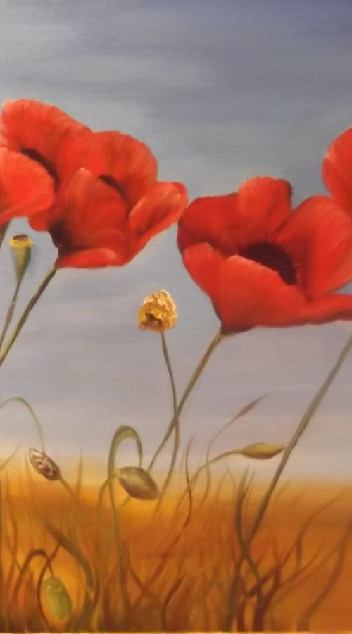 Poppy flower by Timea  Valsami