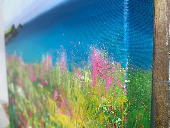 Wild Flowers at Polly Joke II