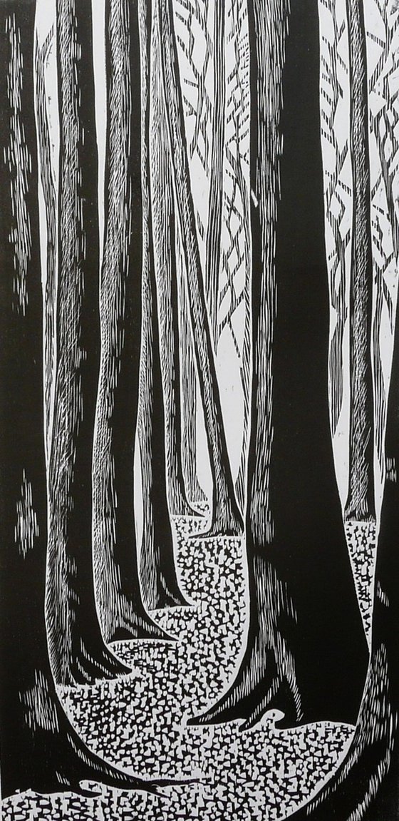 Silent Eucalyptus Grove