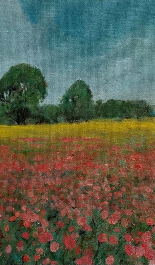 Poppies by Bohdan Vykhrenko