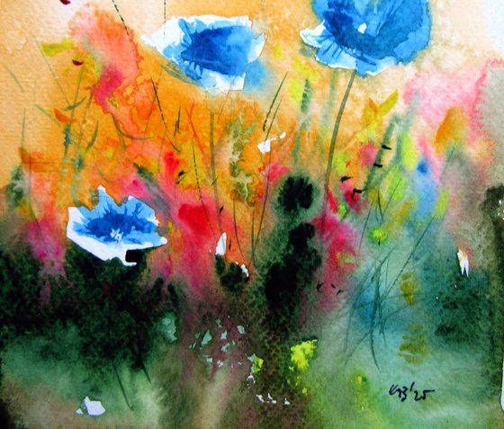 Blue poppies