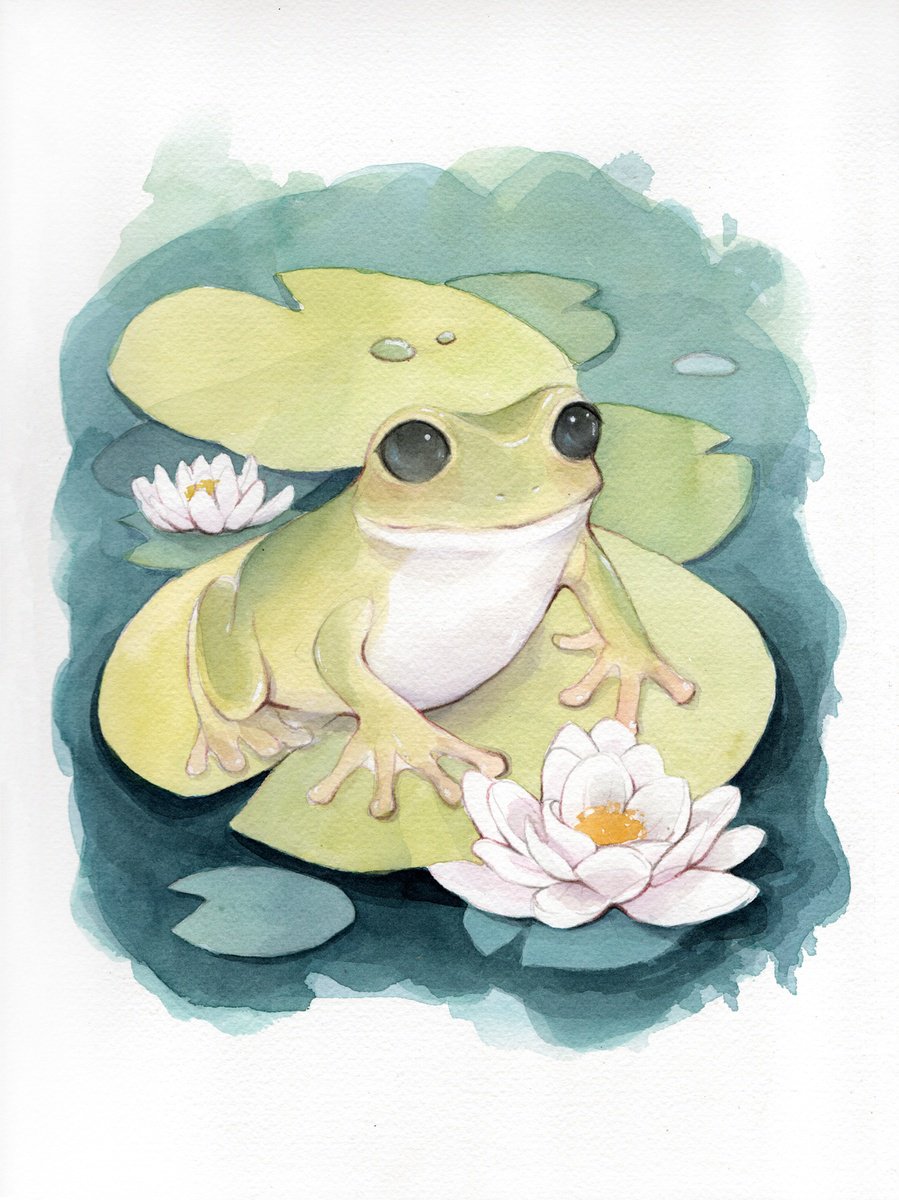 Frog Illustration by Alejandra Paredes