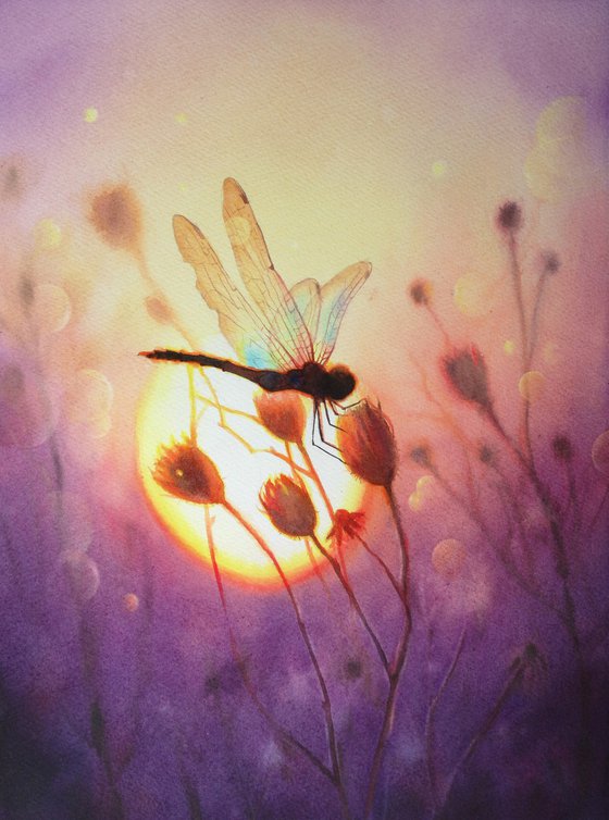 Dragonfly on the sunset