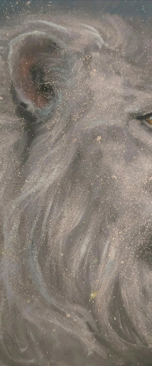 King of the Cosmos by Ellisa Hague