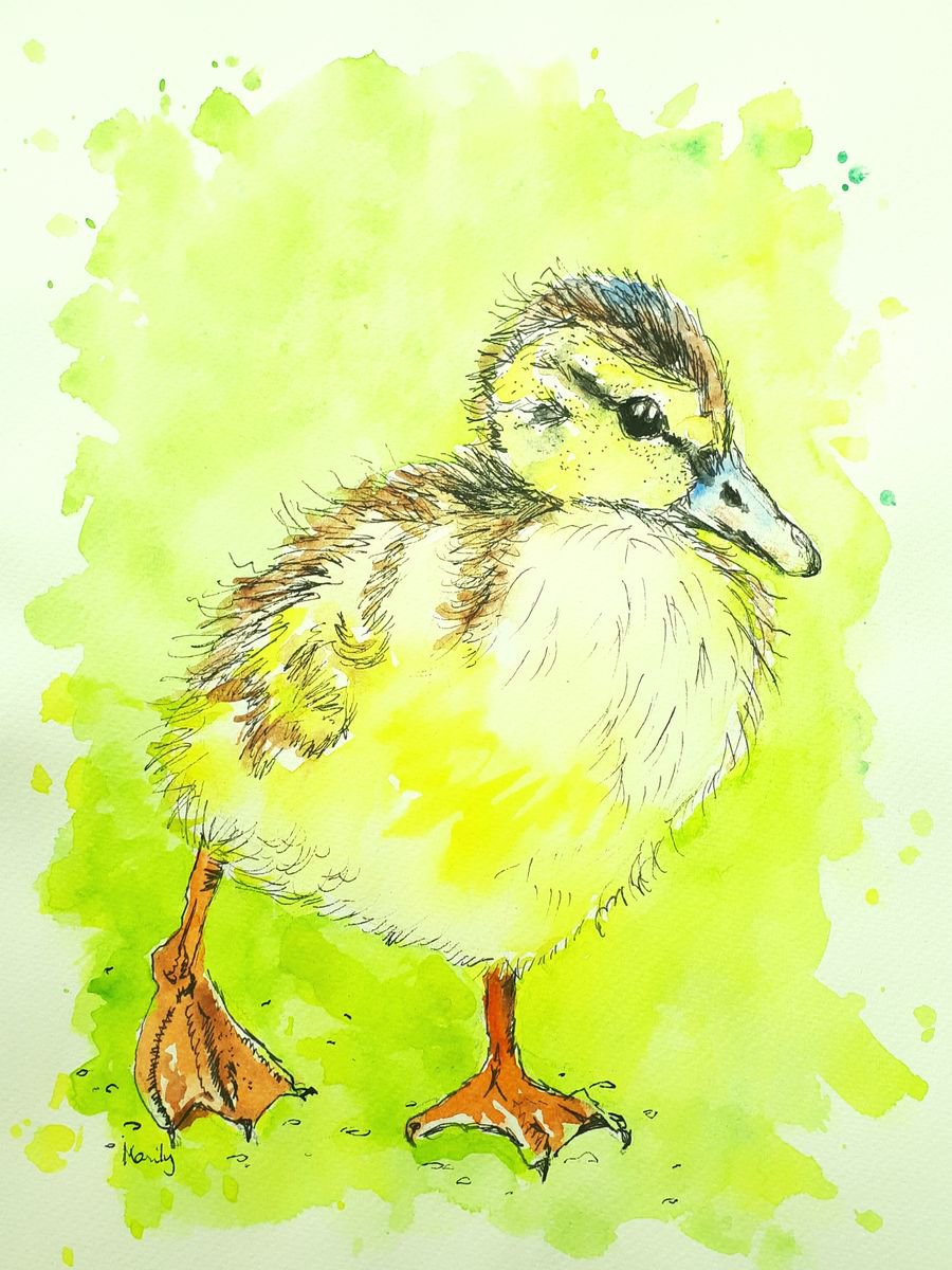 Little duckling by Marily Valkijainen