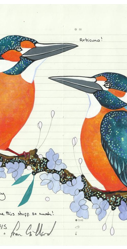 Kingfishers by Fran Giffard
