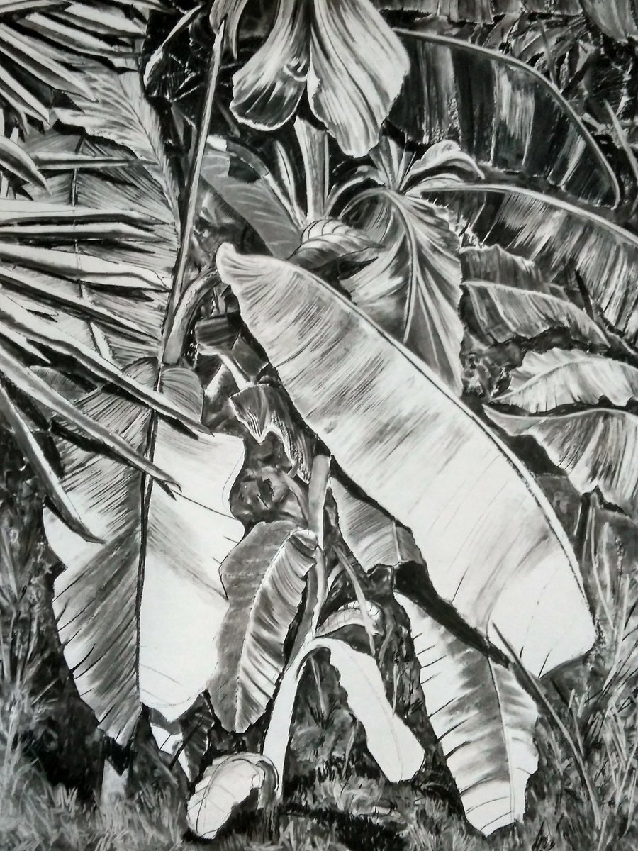 Thick Jungle (Charcoal Drawing) by Dominic-Petru Virtosu