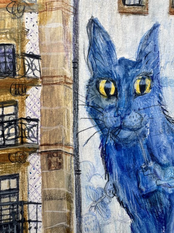 Porto Blue Cat