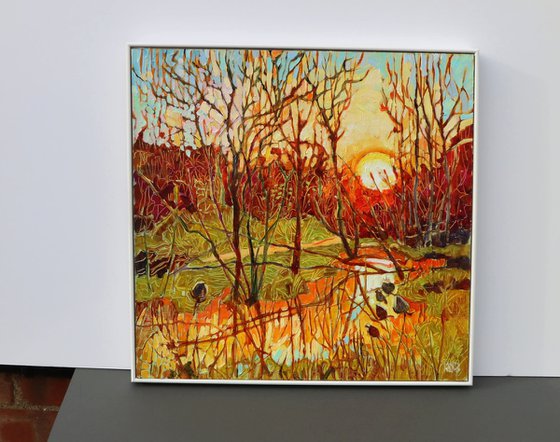 Sun Setting Over Aldi