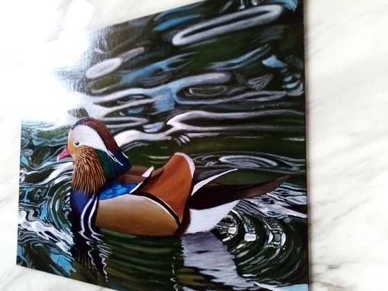 Mandarin duck acrylic painting 16"x20"