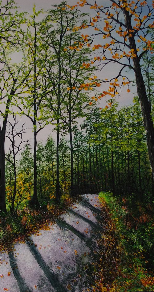 Forest Path by Hazel Thomson