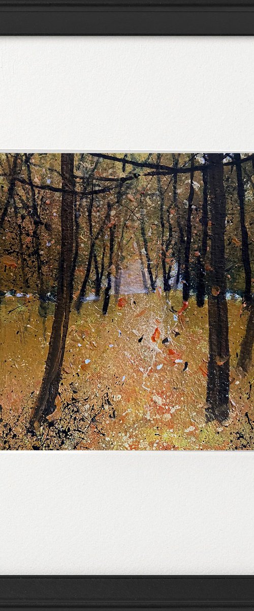 Seasons - Autumn Colours framed by Teresa Tanner