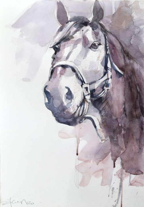 Horse head 8 by Goran Žigolić Watercolors