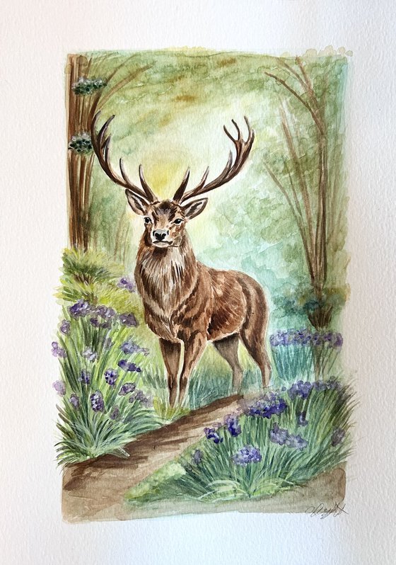 “Whispers of the woodland 3.0”