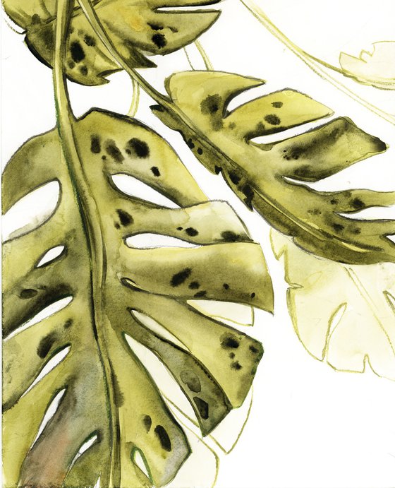 Monstera leaf watercolor paintings 3 set
