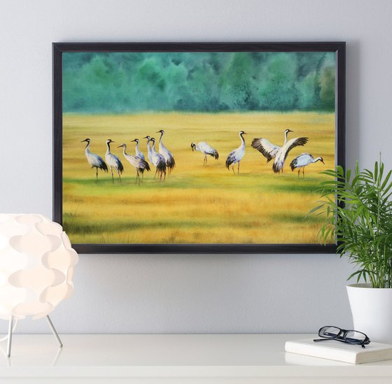 Red-crowned cranes