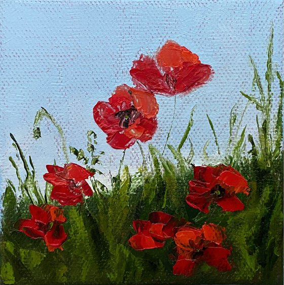Poppies
