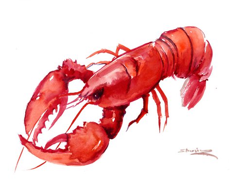 Red Lobster by Suren Nersisyan