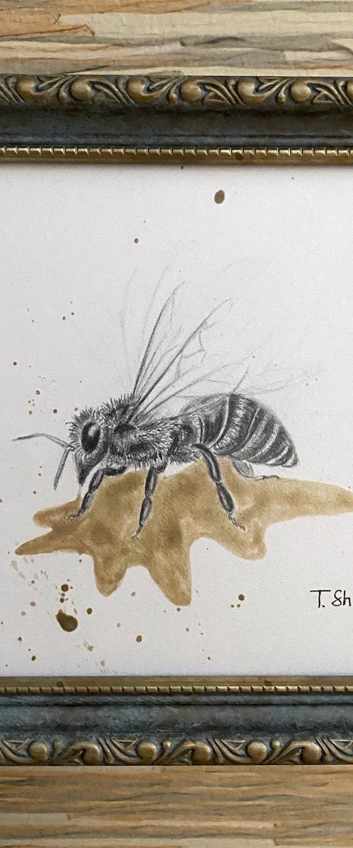 Bee and honey by Tina Shyfruk