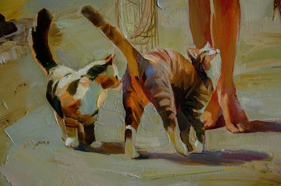 Harbor of Feline Hopes