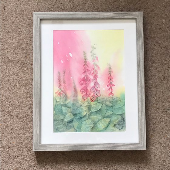 Pink Foxgloves