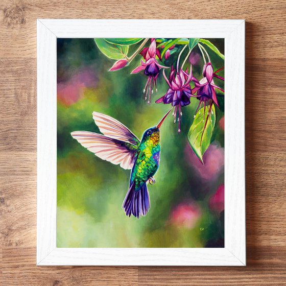 Hummingbird with fuchsia flowers
