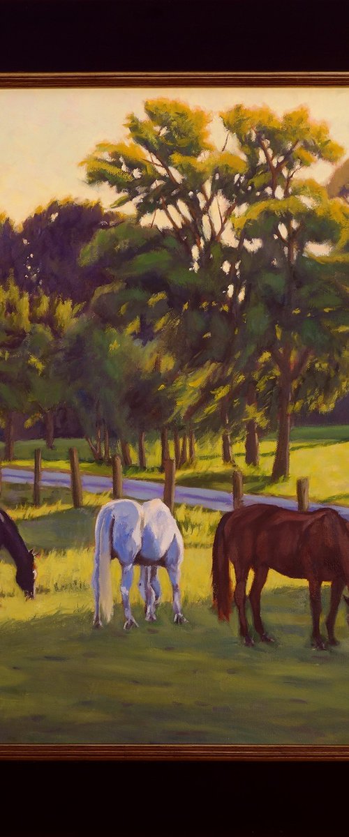 Horses Grazing by Daniel Fishback