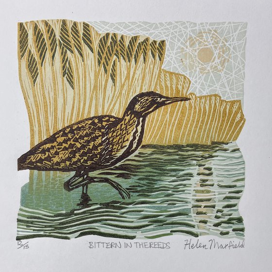 Bittern in the Reeds