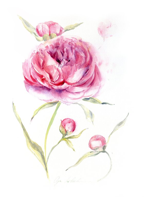 Pink Peony Fantasy