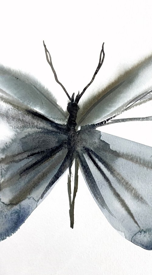 Butterfly Study No. 2 by Elizabeth Becker