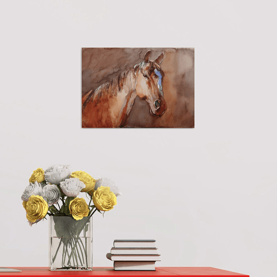 horse in the shadow III