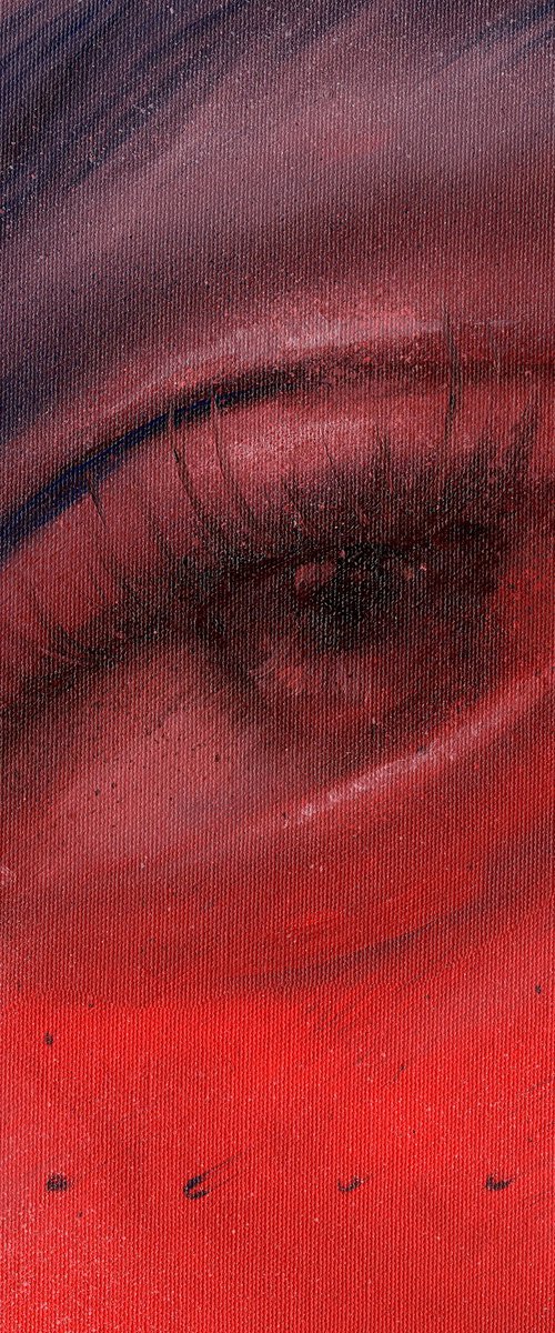 eye in red and blue by Renske Karlien Hercules