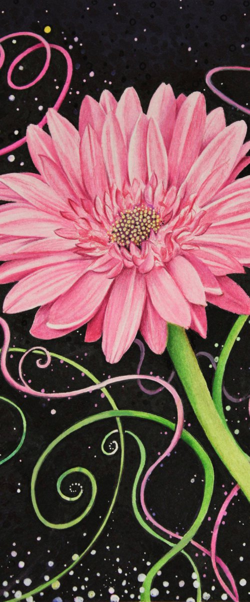 Gerbera Fizz by Lorraine Sadler