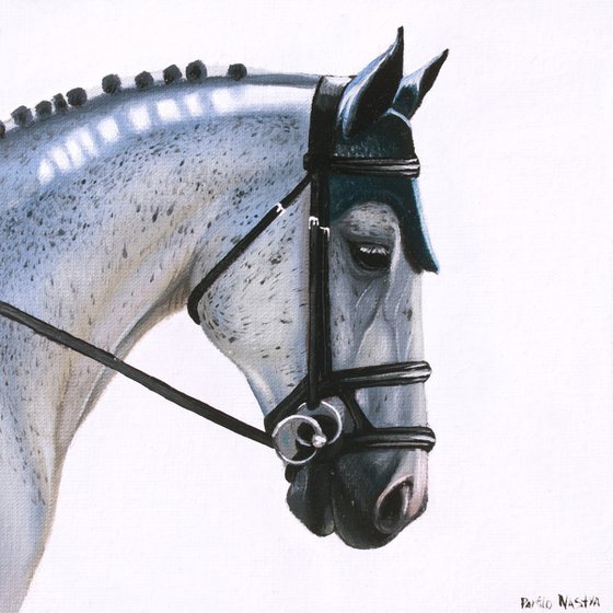 Horse Portrait 106