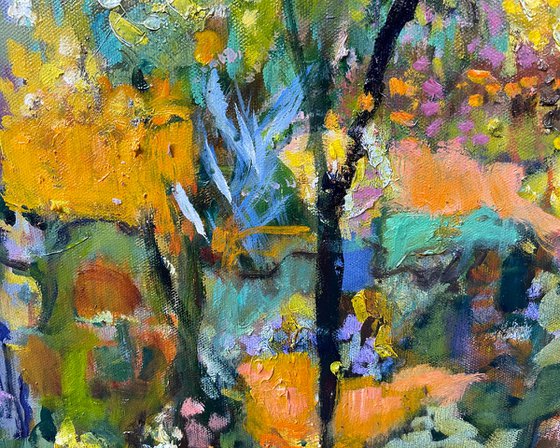 EUCALYPTS AND WATTLE