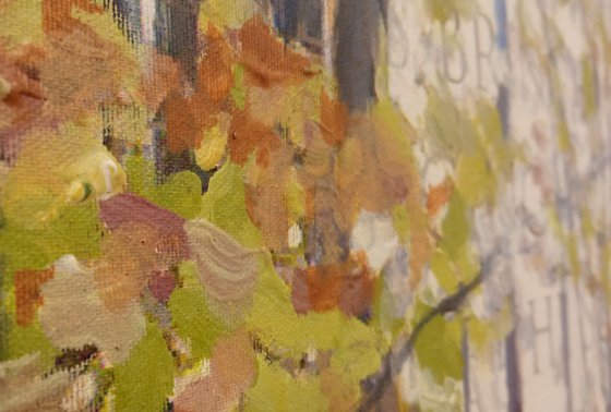 Fall in the beech wood