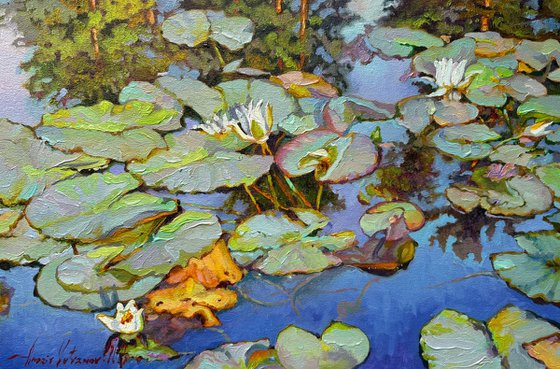 Summer pond.