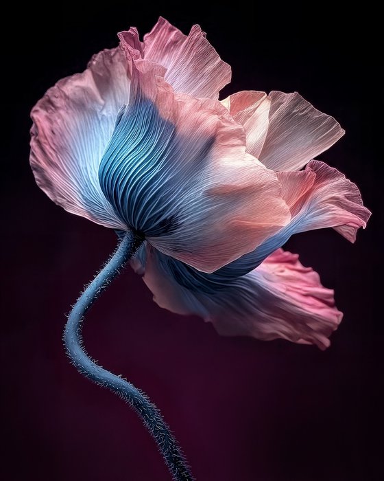 Botanical Grace